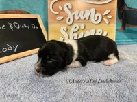 processed/9fec2067-ef82-477d-97ea-530127849496/listing/df79af11-1427-4c70-a86b-c07d673d1eeb/28199f36-80ab-443a-879b-2445db8782f0