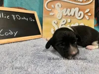 processed/9fec2067-ef82-477d-97ea-530127849496/listing/df79af11-1427-4c70-a86b-c07d673d1eeb/2a35cf6c-a06d-426d-807b-c28dc3f18a13