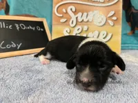 processed/9fec2067-ef82-477d-97ea-530127849496/listing/df79af11-1427-4c70-a86b-c07d673d1eeb/42013de7-22ef-42fe-bd5b-f9e358aadad6