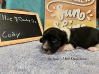 processed/9fec2067-ef82-477d-97ea-530127849496/listing/df79af11-1427-4c70-a86b-c07d673d1eeb/75a7ae26-d93f-4c92-ae12-eb0c209b44cf