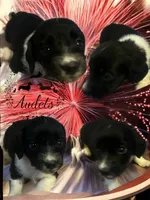 processed/9fec2067-ef82-477d-97ea-530127849496/listing/df79af11-1427-4c70-a86b-c07d673d1eeb/7c8811c0-2975-43f1-ac36-51c95d10104a