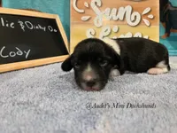 processed/9fec2067-ef82-477d-97ea-530127849496/listing/df79af11-1427-4c70-a86b-c07d673d1eeb/83471eda-a448-41f6-8bc8-453445d5b2dc