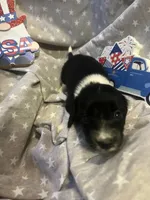 processed/9fec2067-ef82-477d-97ea-530127849496/listing/df79af11-1427-4c70-a86b-c07d673d1eeb/862442d3-0d22-4f20-8272-c485055dec0e