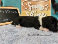 processed/9fec2067-ef82-477d-97ea-530127849496/listing/df79af11-1427-4c70-a86b-c07d673d1eeb/eb3383c0-da42-415c-af3e-111247e74a16