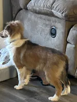 processed/9ff417ca-41d8-4654-b5a6-a5a726102023/listing/2ae11e60-506a-4931-9eaa-db52b7e52739/18a5e2a5-ce46-4e14-b15c-aed04328b87d