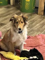 processed/9ff417ca-41d8-4654-b5a6-a5a726102023/listing/2ae11e60-506a-4931-9eaa-db52b7e52739/414f8c2d-aab8-44ee-93b8-6d8df7a0b12f