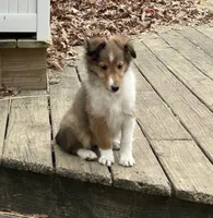 processed/9ff417ca-41d8-4654-b5a6-a5a726102023/listing/2ae11e60-506a-4931-9eaa-db52b7e52739/858f24d7-524b-4bb3-ae76-2197a086578a