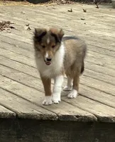 processed/9ff417ca-41d8-4654-b5a6-a5a726102023/listing/2ae11e60-506a-4931-9eaa-db52b7e52739/b875e200-edce-44b9-b999-32cc9b33c926