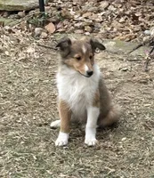 processed/9ff417ca-41d8-4654-b5a6-a5a726102023/listing/2ae11e60-506a-4931-9eaa-db52b7e52739/ca453c74-4a9a-414b-86e4-6d904ed015c9