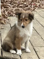 processed/9ff417ca-41d8-4654-b5a6-a5a726102023/listing/2ae11e60-506a-4931-9eaa-db52b7e52739/d5a09ec3-efa8-41cb-962a-340eae8b4a46