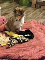 processed/9ff417ca-41d8-4654-b5a6-a5a726102023/listing/2ae11e60-506a-4931-9eaa-db52b7e52739/f63459f2-80a4-4d71-bee2-e8936500382b