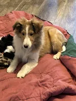 processed/9ff417ca-41d8-4654-b5a6-a5a726102023/listing/af3fca35-1c94-4fa4-b540-855a871ff798/1644f81b-dfbf-4aed-8664-b793048cc1ae