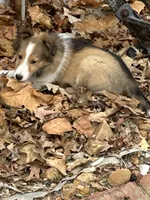 processed/9ff417ca-41d8-4654-b5a6-a5a726102023/listing/af3fca35-1c94-4fa4-b540-855a871ff798/314d108a-9469-4c9a-9f4a-831ac66ed5b0