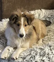 processed/9ff417ca-41d8-4654-b5a6-a5a726102023/listing/af3fca35-1c94-4fa4-b540-855a871ff798/5c893d7b-0134-446f-ba38-420658084dd0