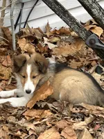 processed/9ff417ca-41d8-4654-b5a6-a5a726102023/listing/af3fca35-1c94-4fa4-b540-855a871ff798/7d65b459-96ce-48bf-b87f-e5b0f4cc36e6