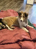 processed/9ff417ca-41d8-4654-b5a6-a5a726102023/listing/af3fca35-1c94-4fa4-b540-855a871ff798/9875d36a-2ce6-45f5-b776-133b7fc5c898