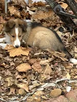 processed/9ff417ca-41d8-4654-b5a6-a5a726102023/listing/af3fca35-1c94-4fa4-b540-855a871ff798/cc885d36-6ea1-4570-b1d8-fbda20a7ab8c