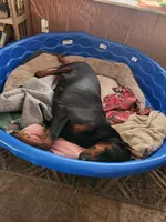 processed/9ff582da-d11f-47e4-bba5-9839f3d454e9/listing/66fe961e-377b-41a7-9caf-e59e6df94768/4bf683af-613c-4247-9588-5968944dc912