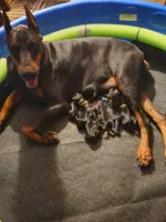 processed/9ff582da-d11f-47e4-bba5-9839f3d454e9/listing/66fe961e-377b-41a7-9caf-e59e6df94768/b5588462-7e1b-4133-b9e2-f77c0785e3fe