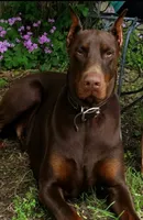 processed/9ff582da-d11f-47e4-bba5-9839f3d454e9/listing/ae4211f6-d9a2-43ee-96bb-63c612299d71/c2af548b-9313-4502-80ea-b5c4f9f113f9