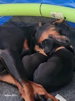 processed/9ff582da-d11f-47e4-bba5-9839f3d454e9/listing/f44b1bac-4a4c-4dc2-aad3-2ac1e0c08e67/9270f4e9-433c-4ada-adfa-001fa2ce6687