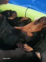 processed/9ff582da-d11f-47e4-bba5-9839f3d454e9/listing/f44b1bac-4a4c-4dc2-aad3-2ac1e0c08e67/b449f377-f1cb-46ab-95e3-fe07ab063f1e