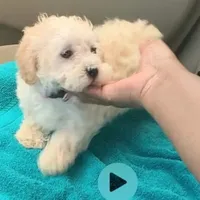 processed/9ffde402-1bae-4418-a20c-cda690fa4900/facility/0af2d1c7-df01-4211-98b6-166f76a98323