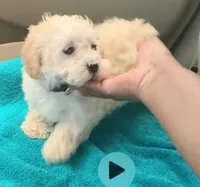 processed/9ffde402-1bae-4418-a20c-cda690fa4900/facility/0af2d1c7-df01-4211-98b6-166f76a98323