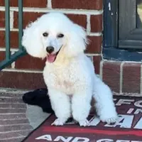 processed/9ffde402-1bae-4418-a20c-cda690fa4900/facility/14aaee72-4b7a-44e9-a2c1-3784564b7db2