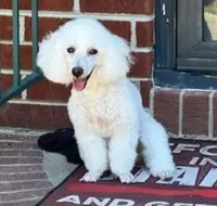 processed/9ffde402-1bae-4418-a20c-cda690fa4900/facility/14aaee72-4b7a-44e9-a2c1-3784564b7db2