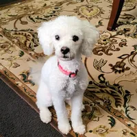 processed/9ffde402-1bae-4418-a20c-cda690fa4900/facility/3fd8ebe9-13a9-49dc-a23e-50ef5f70d2fd