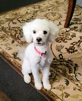 processed/9ffde402-1bae-4418-a20c-cda690fa4900/facility/3fd8ebe9-13a9-49dc-a23e-50ef5f70d2fd