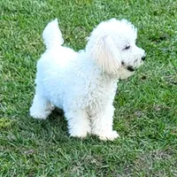 processed/9ffde402-1bae-4418-a20c-cda690fa4900/facility/4a751126-3338-45bb-a06d-710517e10fd1