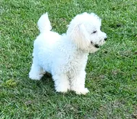 processed/9ffde402-1bae-4418-a20c-cda690fa4900/facility/4a751126-3338-45bb-a06d-710517e10fd1