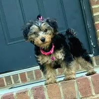 processed/9ffde402-1bae-4418-a20c-cda690fa4900/facility/4f5704b7-c18c-4e7e-8f66-dd2d80f3b31c