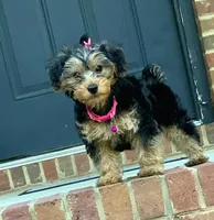 processed/9ffde402-1bae-4418-a20c-cda690fa4900/facility/4f5704b7-c18c-4e7e-8f66-dd2d80f3b31c