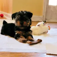 processed/9ffde402-1bae-4418-a20c-cda690fa4900/facility/5976c11f-bc7e-44fe-871c-20379171cc81