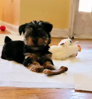 processed/9ffde402-1bae-4418-a20c-cda690fa4900/facility/5976c11f-bc7e-44fe-871c-20379171cc81