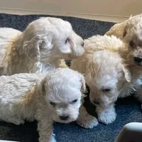 processed/9ffde402-1bae-4418-a20c-cda690fa4900/facility/e1dcd01b-c4fe-40c4-b66a-f16f30b160b9