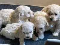 processed/9ffde402-1bae-4418-a20c-cda690fa4900/facility/e1dcd01b-c4fe-40c4-b66a-f16f30b160b9