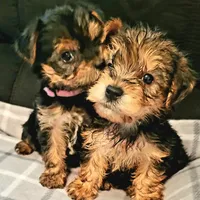 processed/9ffde402-1bae-4418-a20c-cda690fa4900/facility/f7232b97-ada0-48a5-bfc9-970227600a39