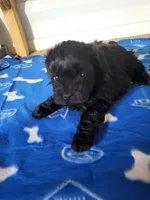 processed/9ffde402-1bae-4418-a20c-cda690fa4900/listing/1e367103-6595-4a6d-961d-9f37c5978844/2c16cc72-4ea7-4172-b680-476d3c7b0032