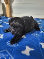 processed/9ffde402-1bae-4418-a20c-cda690fa4900/listing/1e367103-6595-4a6d-961d-9f37c5978844/804dc9bc-e7d5-49b4-bb5f-0da63687c416