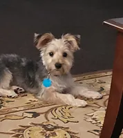 processed/9ffde402-1bae-4418-a20c-cda690fa4900/listing/bd31d5ce-fbd7-487f-95b5-af574ac2385d/5a3cc8b1-94ba-466e-8bdf-4b4f10c0e1b8