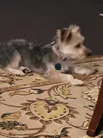 processed/9ffde402-1bae-4418-a20c-cda690fa4900/listing/bd31d5ce-fbd7-487f-95b5-af574ac2385d/7febb238-ecf9-47d0-9c5d-3ddbd0805b52