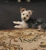 processed/9ffde402-1bae-4418-a20c-cda690fa4900/listing/bd31d5ce-fbd7-487f-95b5-af574ac2385d/adcff4f4-62d5-4674-b6ea-6212d62b158e