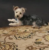 processed/9ffde402-1bae-4418-a20c-cda690fa4900/listing/bd31d5ce-fbd7-487f-95b5-af574ac2385d/c778e6cd-8df6-4601-9493-7a5471beaa57