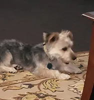 processed/9ffde402-1bae-4418-a20c-cda690fa4900/listing/bd31d5ce-fbd7-487f-95b5-af574ac2385d/f9cba9d9-21a1-48a6-92de-53050cbbb348