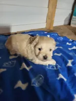 processed/9ffde402-1bae-4418-a20c-cda690fa4900/listing/c5918542-66d8-4d82-b0f9-59a699865ceb/10f88ea3-0cc4-4de5-aa7d-7f8b9d9be4a5