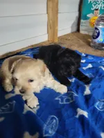 processed/9ffde402-1bae-4418-a20c-cda690fa4900/listing/c5918542-66d8-4d82-b0f9-59a699865ceb/5123aff9-a777-465b-9bdd-1ecfefbfd48d